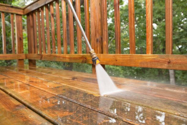 Animal Enclosure Cleaning in Van Wert, OH